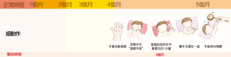 細部肢體動作【4個月】